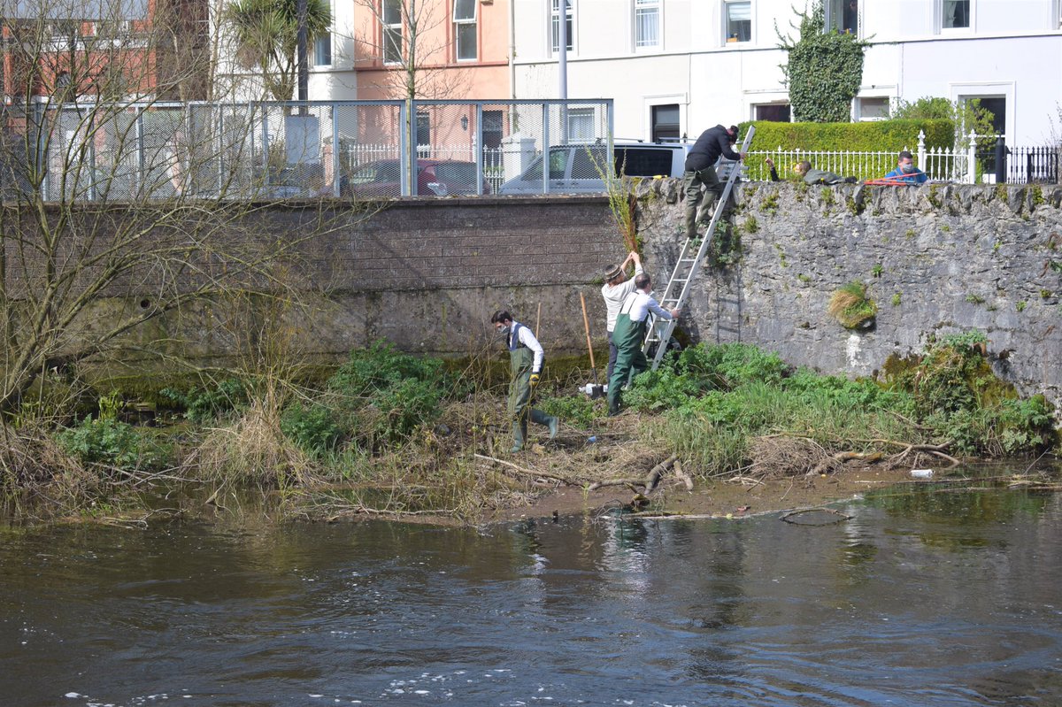 The River Lee tweet media