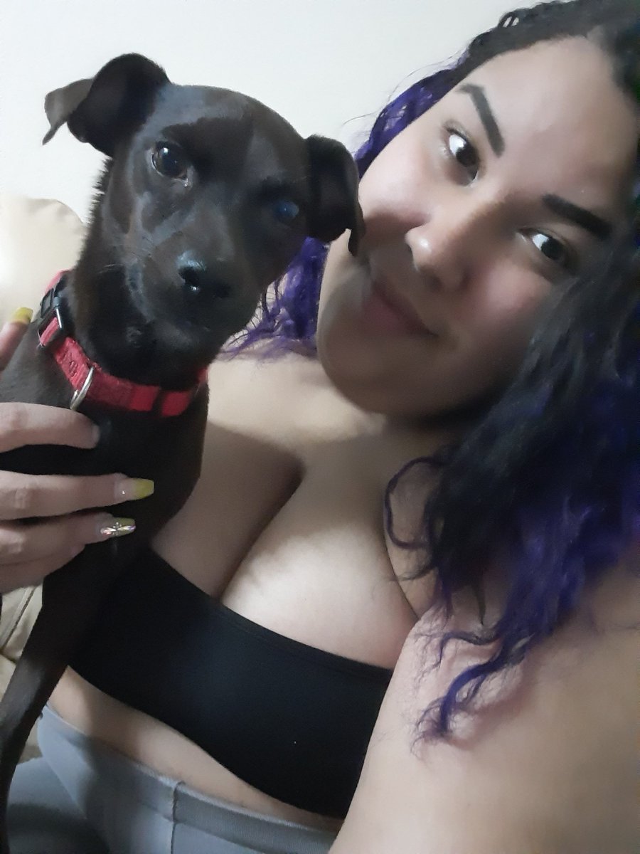 KasandyCheeks's tweet photo. #chihuahuamix #Chihuahua #patterdaleterrier #patterdale #dogs #DogsofTwittter https://t.co/g7b4KlfK7j