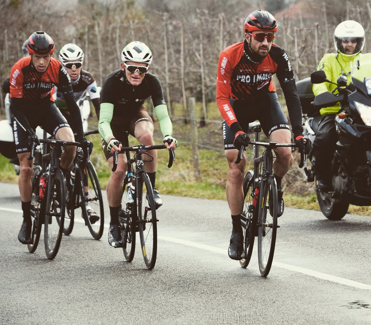 Catalyst Coaching tweet media