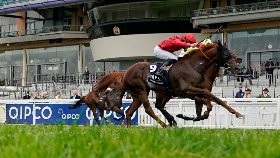 ashsh's tweet photo. Eight Questions With... returns for its 2e!
@hoblyn17 gives us updates on @ChampionsSeries winner THE REVENANT and his 2021 targets as well as just the SIX horses to follow in Al Asayl's 🇫🇷 team!

Read 👉: https://t.co/oGgyq8yJTY
🔁 and ❤️ as welcome as 👍 or 👎 feedback! https://t.co/r6b1WgDdK3