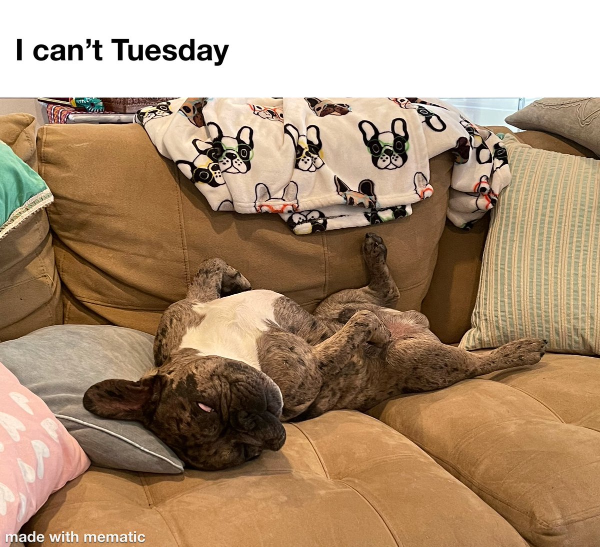 shawni777's tweet photo. Anyone feel me?? #frenchiesofinstagram #frenchbulldog #tuesdayvibe #backtobed #letsslay #michonandbooboo https://t.co/kta0JTDY5C