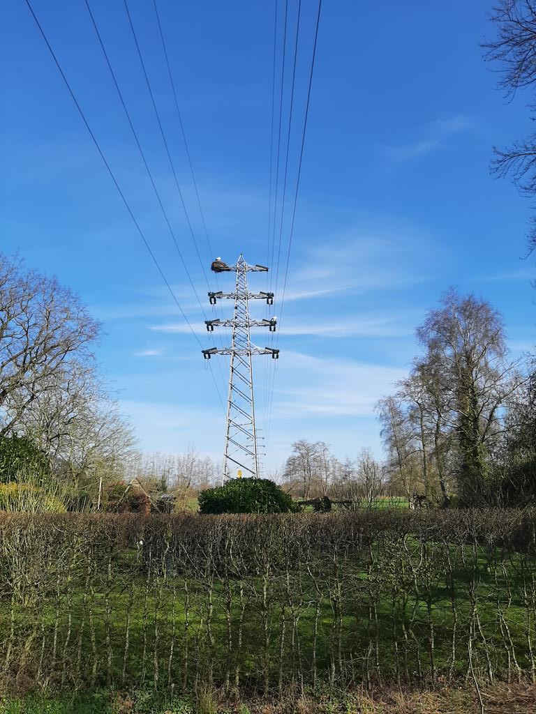 Even inzoomen. Vergroot de 2 witte stipjes.