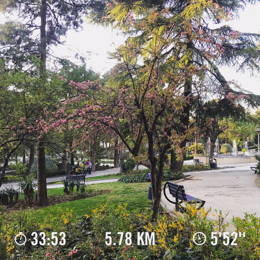 Mauriello_R's tweet photo. Very soon people will come back from Shomal 😱. Don’t be lazy, get out and go running 🏃🏼♂️. Don’t lose the opportunity to run free from pollution and heavy traffic. #runnersoftehran #RunMyCity #WalkMyCity #MyTehran https://t.co/cleyMlSwh8