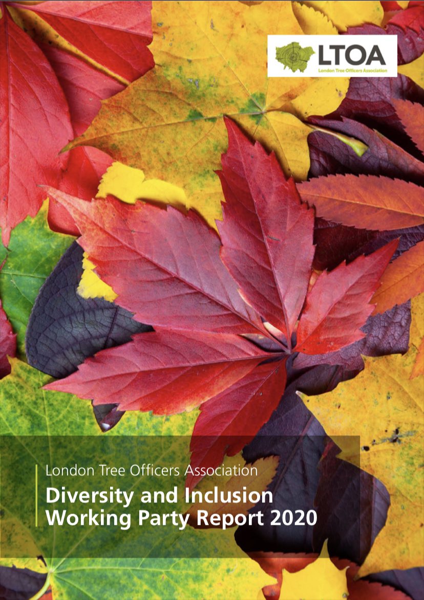 It is great to have this report published and to be planning the next steps.