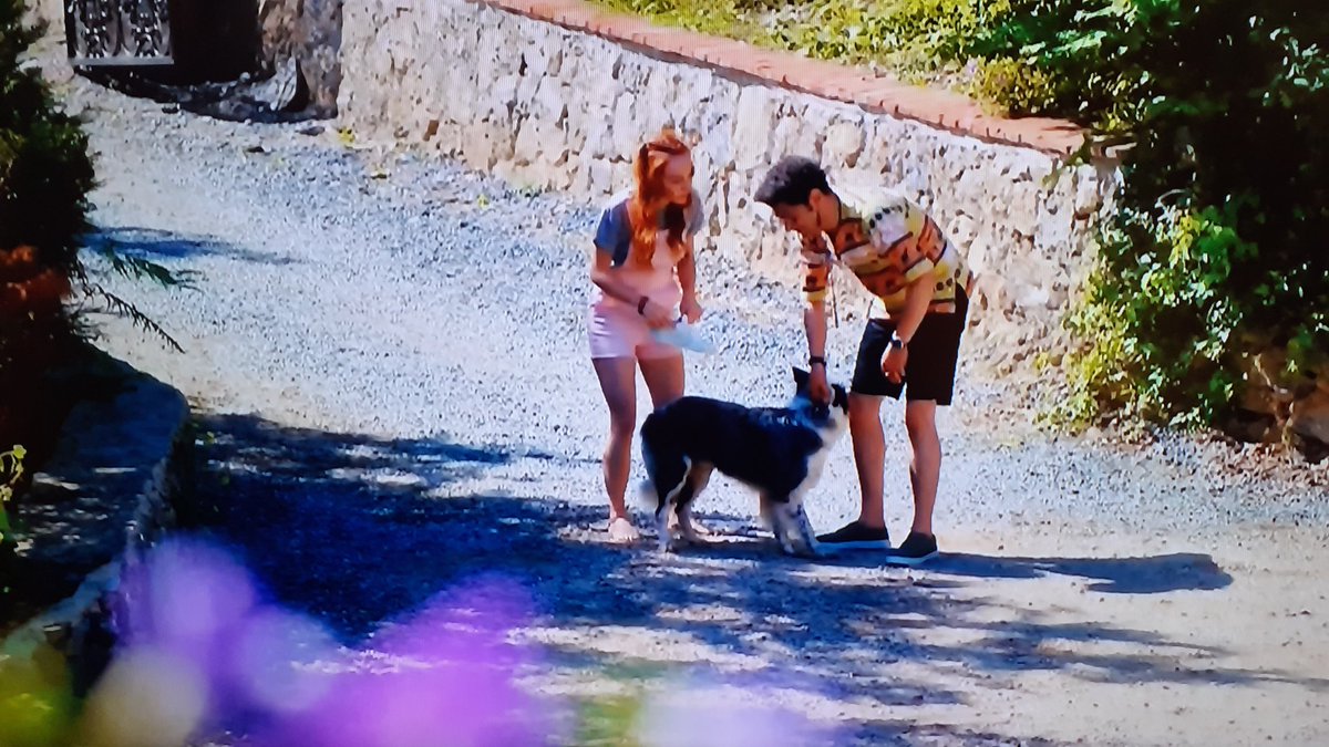 Rosa_Pileggi's tweet photo. #Muzzafer: "se lo chiami bandito è ovvio che si comporta così"😂
#Deniz
#BasakGumulcinelioglu #CihanErcan #ErkenciKus #DayDreamer
@chnercn @basakgumulcine https://t.co/yhWkGo0Vmr