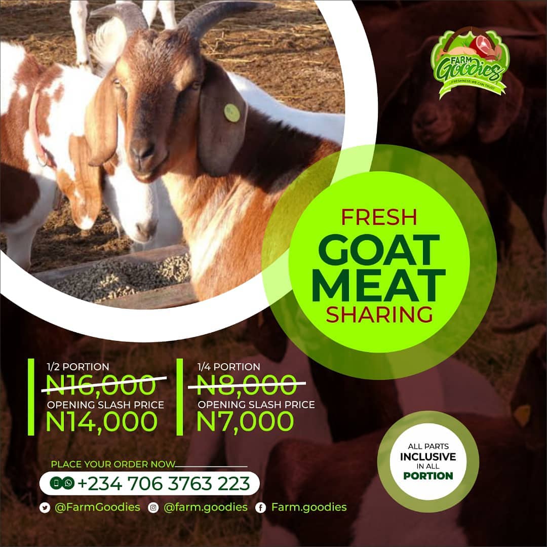 FarmGoodies's tweet photo. EASTER is here, we are ready to be your freshly slaughtered Cow, ram and goat plug with same day delivery across Lagos.
Feel the party feel Agemawo from our cow, ram and goat meat sharing this Friday 2nd of April.
Dm, WhatsApp or call 07063763223
#Easter #HolyWeek #farmgoodies https://t.co/A3WKYKFRaC