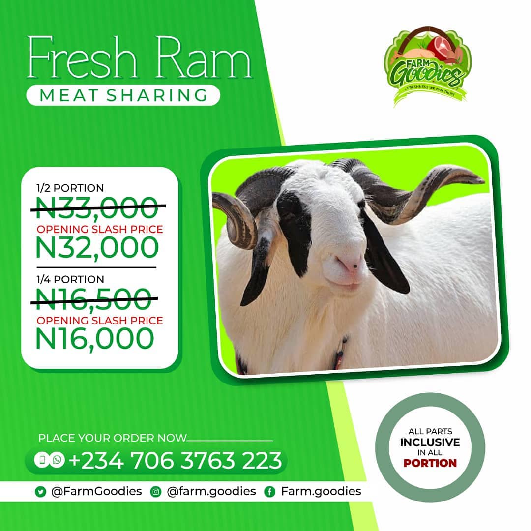 FarmGoodies's tweet photo. EASTER is here, we are ready to be your freshly slaughtered Cow, ram and goat plug with same day delivery across Lagos.
Feel the party feel Agemawo from our cow, ram and goat meat sharing this Friday 2nd of April.
Dm, WhatsApp or call 07063763223
#Easter #HolyWeek #farmgoodies https://t.co/A3WKYKFRaC