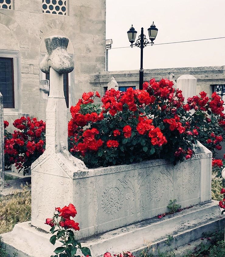 "Şüphesiz en son varış Rabbinedir."

| Necm 42