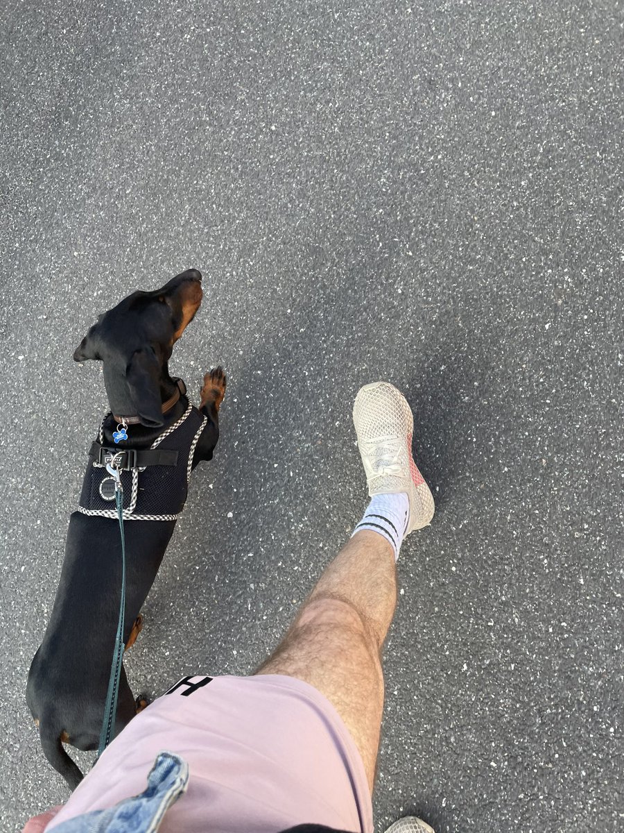Hi <a href="/arseblog/">arseblog</a>! Just wanted to say thanks for giving these hairy legs some chills during the Bergkamp commentary  on your podcast, which me and my dog enjoys whenever we can!