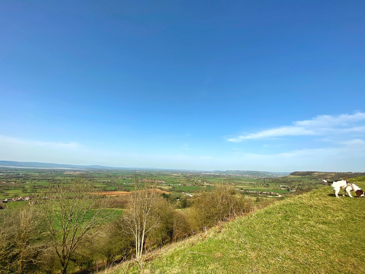 Erbins's tweet photo. Today’s hike  .. 

Now for the slog home 

#Sunshine #Spaniel #Hike https://t.co/CdAA2GU3Bh