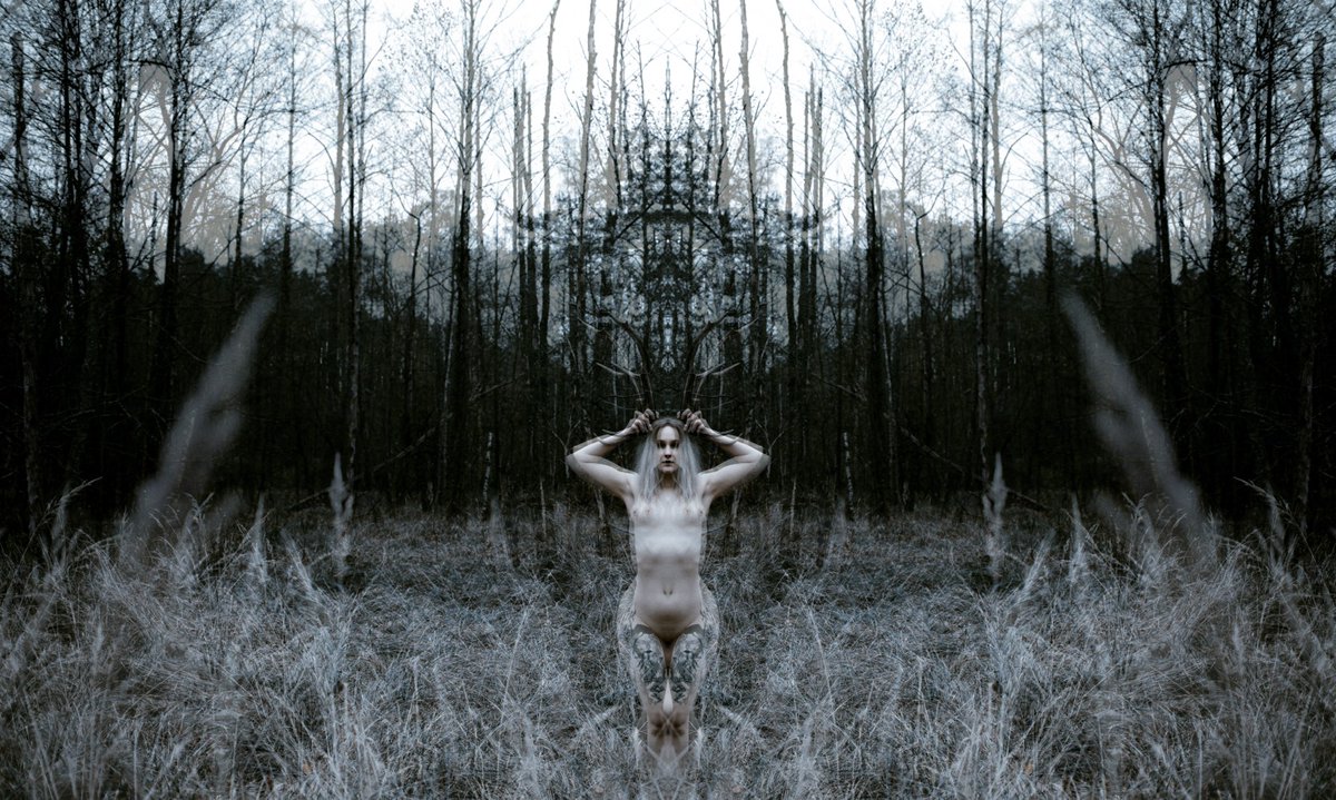 valkrah's tweet photo. These might be good album covers. Any ideas which groups?
📷https://t.co/1vVNQ7i7sR

#leszy #witcher #pagan #slavic #mysticcreatures #darkaesthetic #witchcraft https://t.co/5Qqkm9xaQW