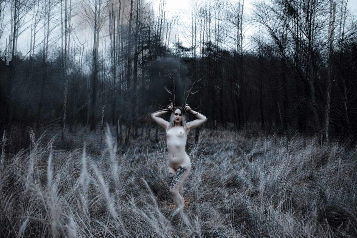 valkrah's tweet photo. These might be good album covers. Any ideas which groups?
📷https://t.co/1vVNQ7i7sR

#leszy #witcher #pagan #slavic #mysticcreatures #darkaesthetic #witchcraft https://t.co/5Qqkm9xaQW
