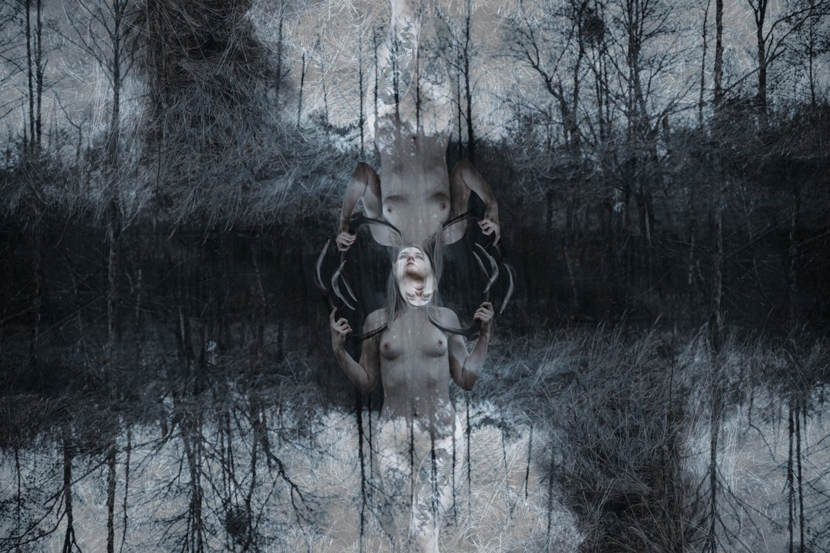 valkrah's tweet photo. These might be good album covers. Any ideas which groups?
📷https://t.co/1vVNQ7i7sR

#leszy #witcher #pagan #slavic #mysticcreatures #darkaesthetic #witchcraft https://t.co/5Qqkm9xaQW