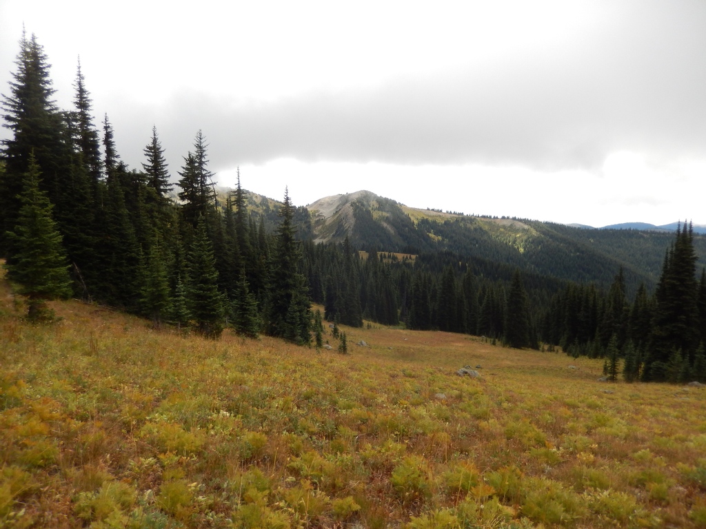 Hiker_Steve's tweet photo. Its views like this that make me want to hike.
#beautifulbc #explorebc #britishcolumbia #hellobc #bc #vancouvercanada #travelbc #vancouverbc #explorecanada #sharebc #outdoorvancouver #604now #westcoastbestcoast
#Vancouvertrails https://t.co/QAIgur0UnA