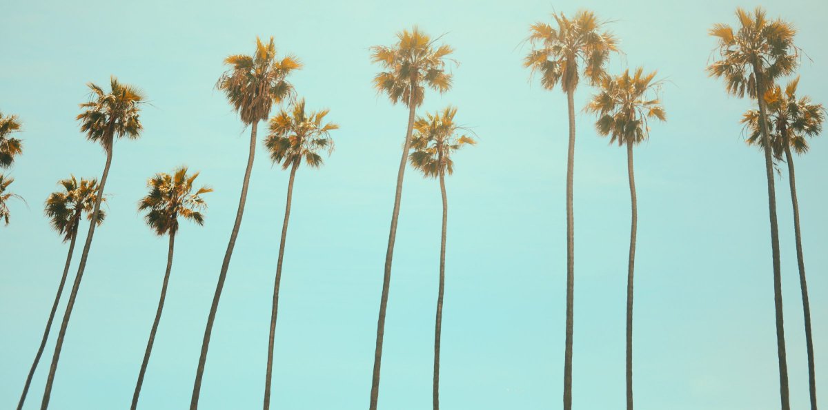 When it comes to water #sustainability and climate #resilience, urban outdoor landscapes represent a wealth of opportunity, such as mitigating #floods and #droughts. Learn more about the importance of sustainable urban landscapes for climate resilience: bit.ly/35gXzkW