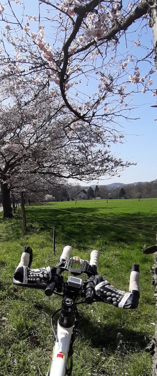 Best lunchbreak! 

#spring #bewegung #movement #sunshine #lunch