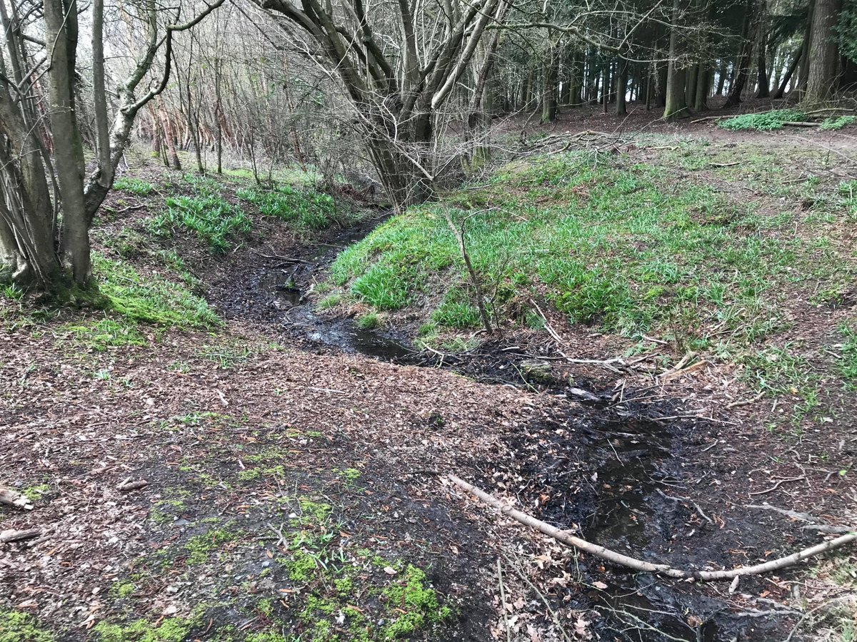 Mr Latchford@ESJGeographyRE tweet media