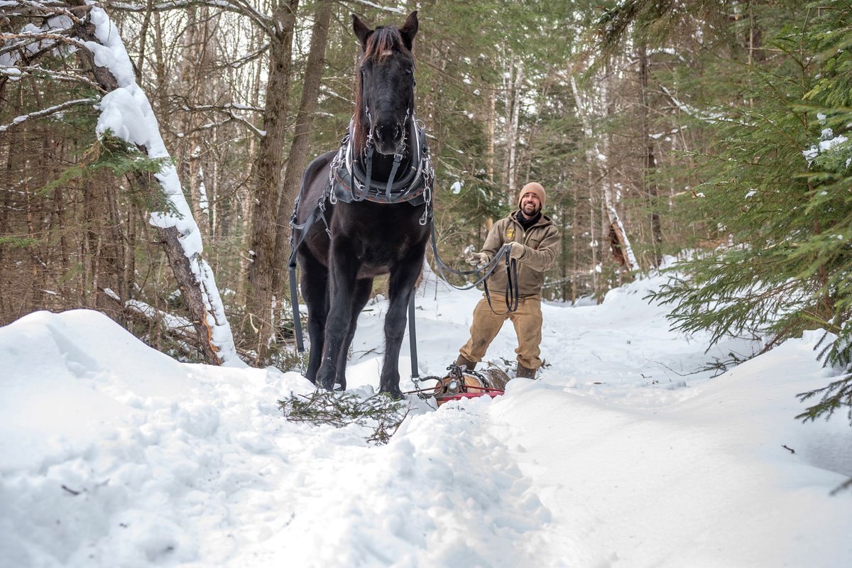 VTForestSummit's tweet photo. Inspired by a small woodlots management class taught by @vtfpr_commish, Josh Seidman of Rugged Ridge Forest has been making wood-fired #VTMapleSyrup since 2015. https://t.co/AUo2qkrWLm https://t.co/dfJeqREG0l