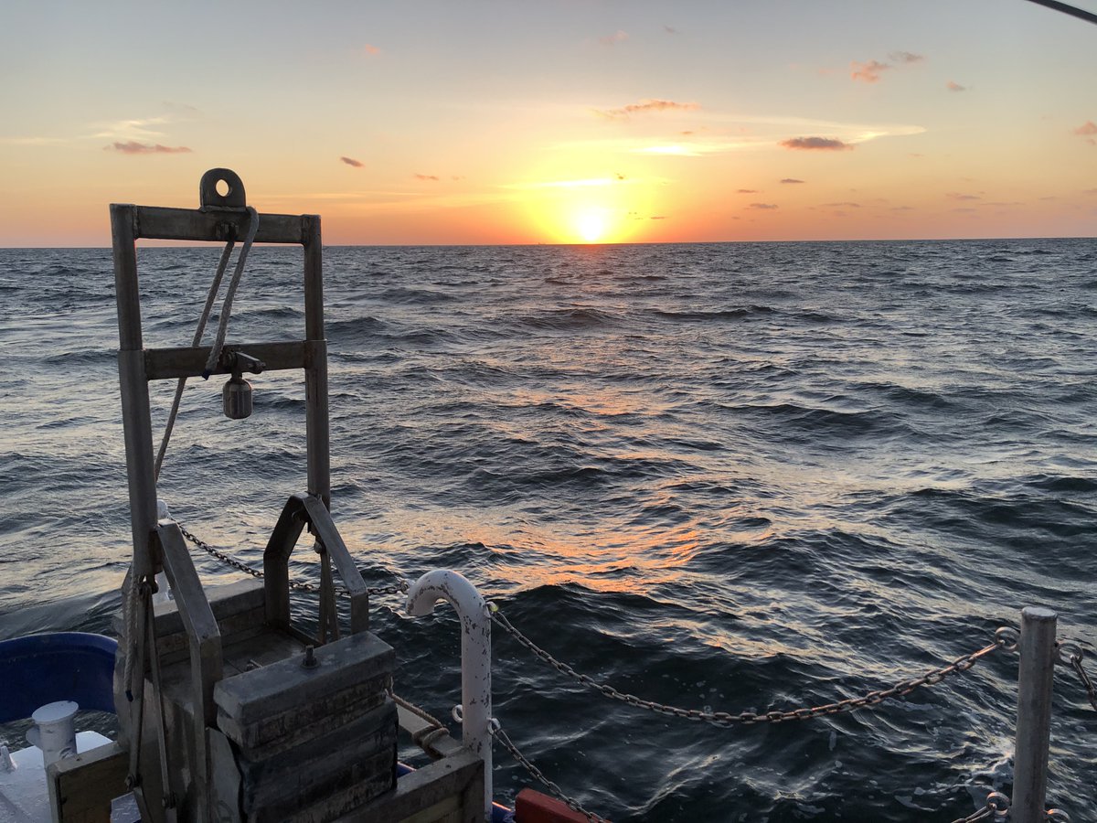 Roberts Lab tweet media