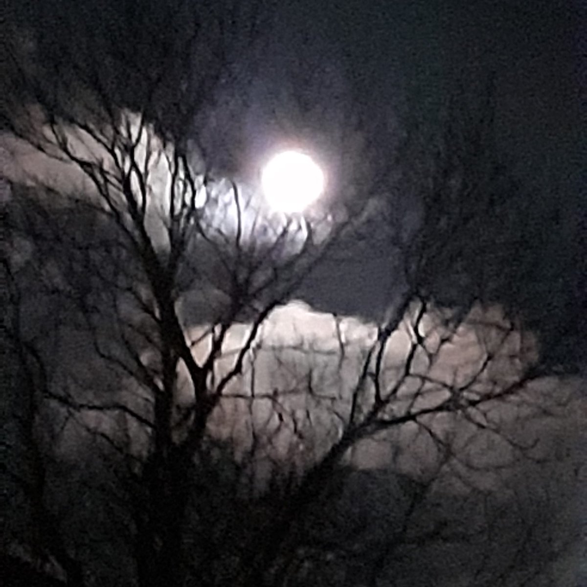 Stephan95145529's tweet photo. The moon was beautiful last night 🌚🌚🌚🌚❤❤❤❤ https://t.co/3TsgLUsLB4