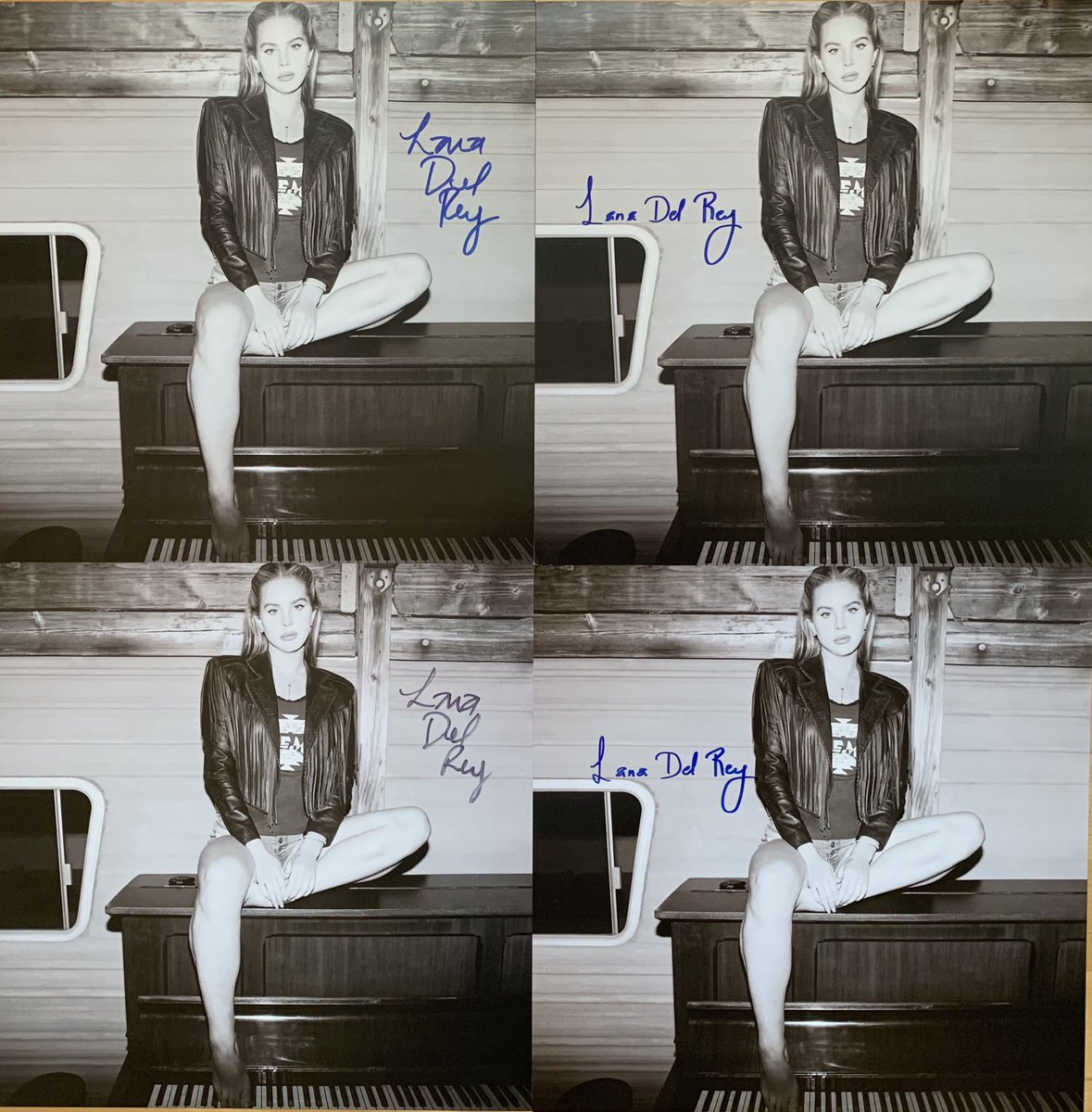 Lanas_FTD's tweet photo. And the question is...Are they real or are they fake? π€ #UKStore #GermanStore #FrenchStore #Lithos @lanadelrey https://t.co/vTD1BACTzj