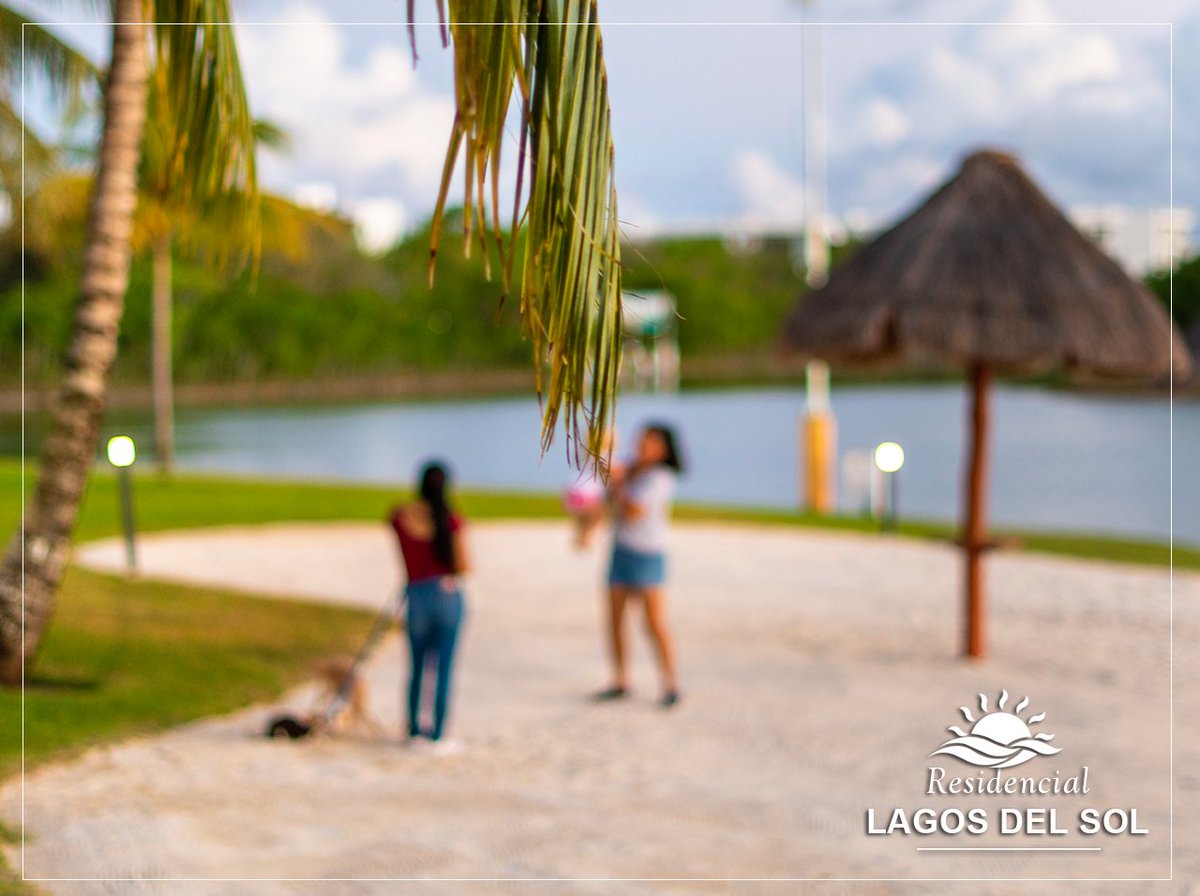 Lagos del Sol Cancun tweet media