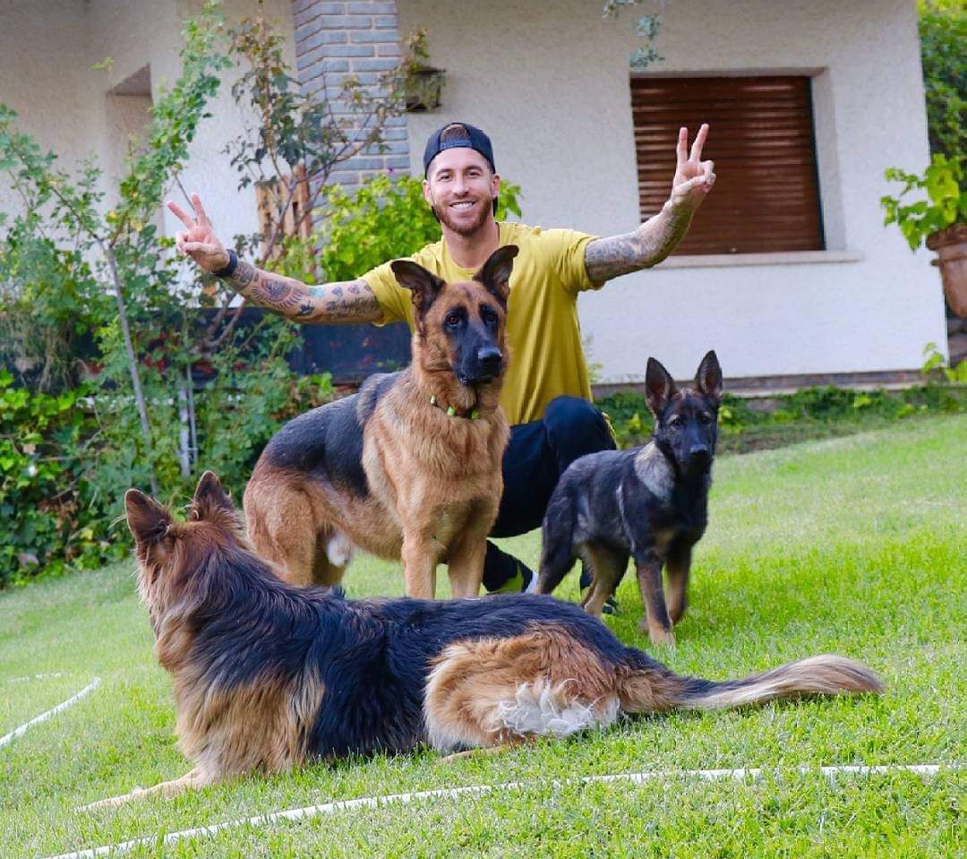 Happy Birthday Sergio Ramos  (yellow one) 