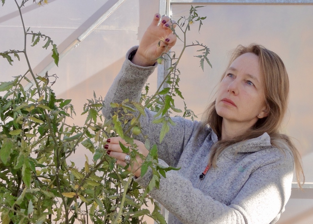 barkedm's tweet photo. Latin American researchers use gene editing to breed hardier crops - Alliance for Science https://t.co/TKu3I5jqIo https://t.co/nqFjZ3pyiI
