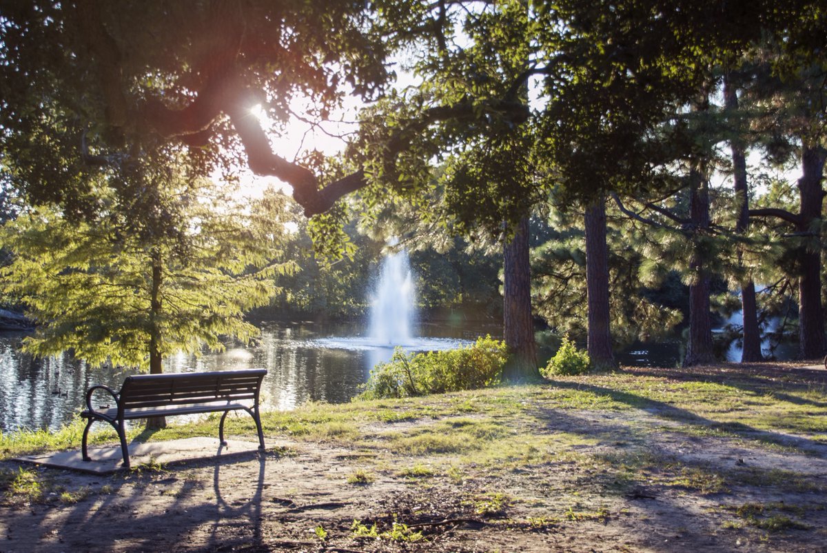 SuccessTulane's tweet photo. Fun Fact: Today is Take a Walk in the Park Day 👣

Did you know taking breaks to relax, de-stress and clear your head can make your study time more efficient and effective? So, grab a friend and head the Audubon to make your day a success! https://t.co/MIgz5PZOyi