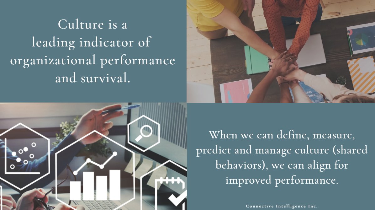 ConnectiveInte1's tweet image. Culture is a leading indicator of organizational performance and survival. #culture #alignment #mindset #performance #success