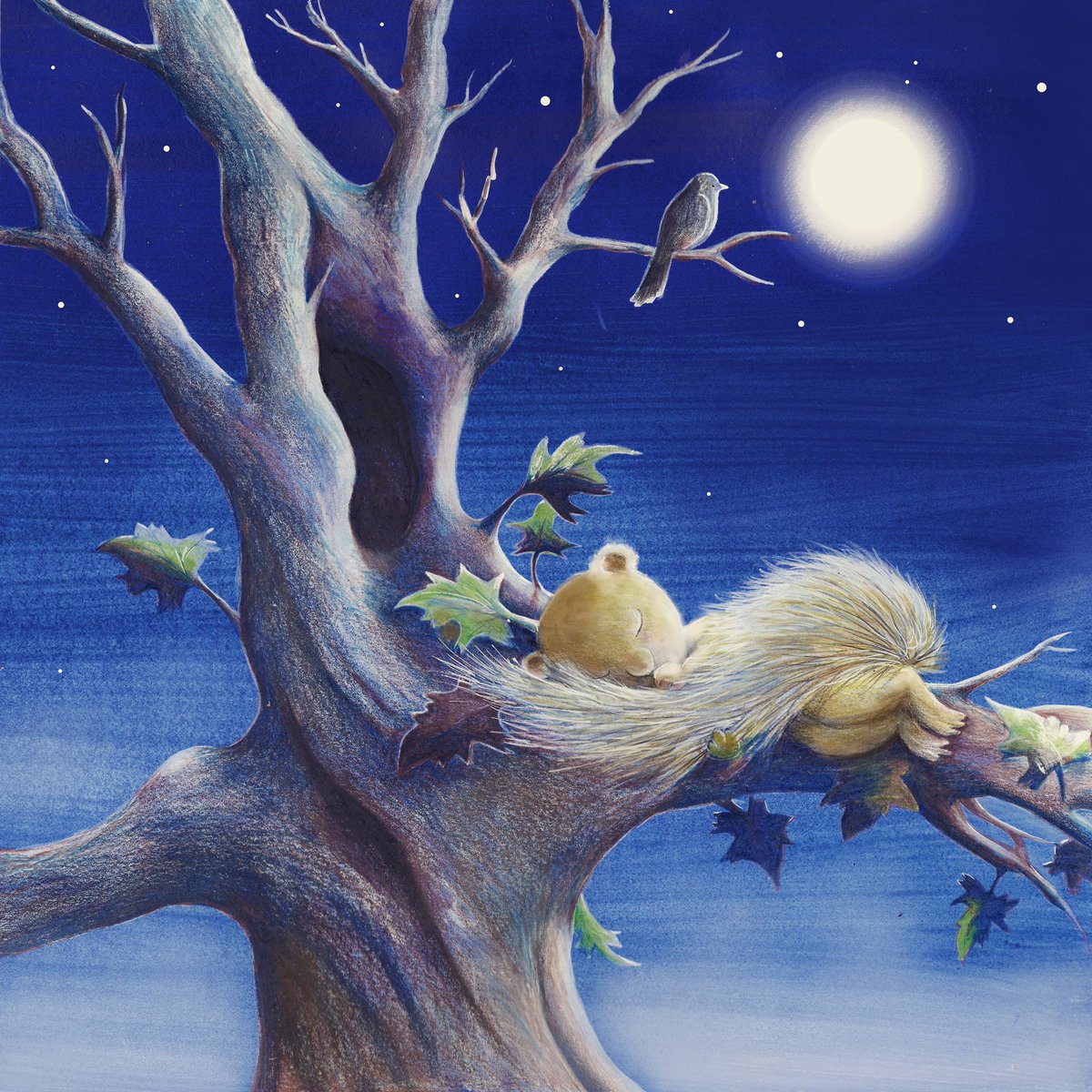 GatesGates01's tweet photo. I have a squirrel who regularly visits my garden and the other night I was thinking where does he sleep? So here he is cuddled up in his tail #squirrel #sleep #nightsky #moon #tree #drawing #painting #childrensbookillustration #imagination #characterillustration https://t.co/xs6m1WkfpK