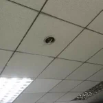 これが会社に導入された最新型監視カメラ!？可愛すぎて仕事にならないw