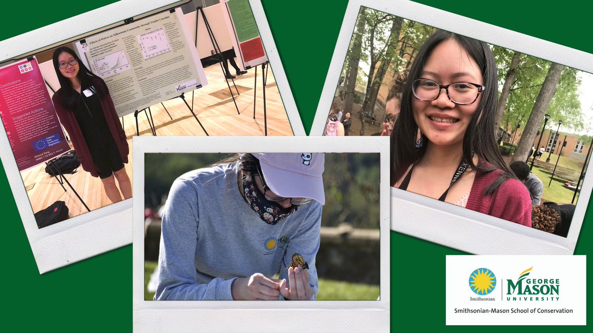An astonishing achievement for Jackie Luu, a @GeorgeMasonU & @ESPMasonU junior and Fall 2020 @SMConservation alumnus, who was just named a 2021 #GoldwaterScholar! This award is one of the most prestigious scholarships available to undergrads in STEM research. Congrats, Jackie!