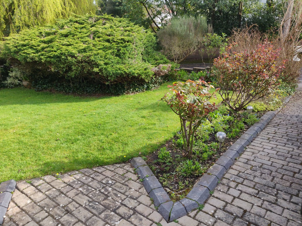 ColberAT's tweet image. Our junipers are a favourite with the wildlife 
#lapishousemumbles #mumbles #oystermouth #gower #gowerpeninsula #gowercoast #Swansea #Wales #airbnb #selfcatering #staycation #familyholidays #beach #sea #seaside #countryside #beachsideretreat #walking #cycling #golf #sailing