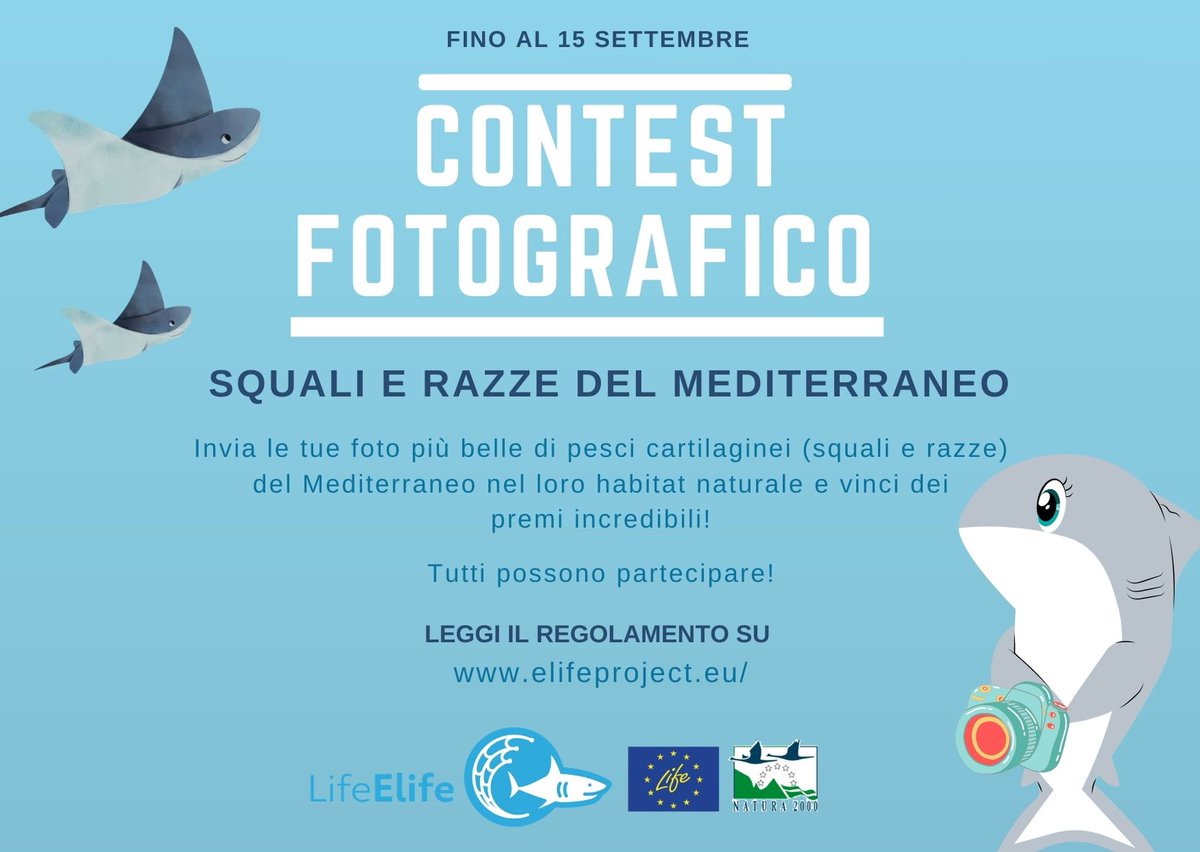 ElifeProject's tweet photo. #Elifeproject ha lanciato un #concorso #fotografico per proteggere i #squali e #razze del #Mediterraneo! Inviaci le tue migliori foto di loro nel loro #habitat! Scopri di più su https://t.co/9eHyW5FPSs e #participate! Ci sono ottimi #premi per #vincere! @LIFEprogramme @SznDohrn https://t.co/RtmYrgZUYY