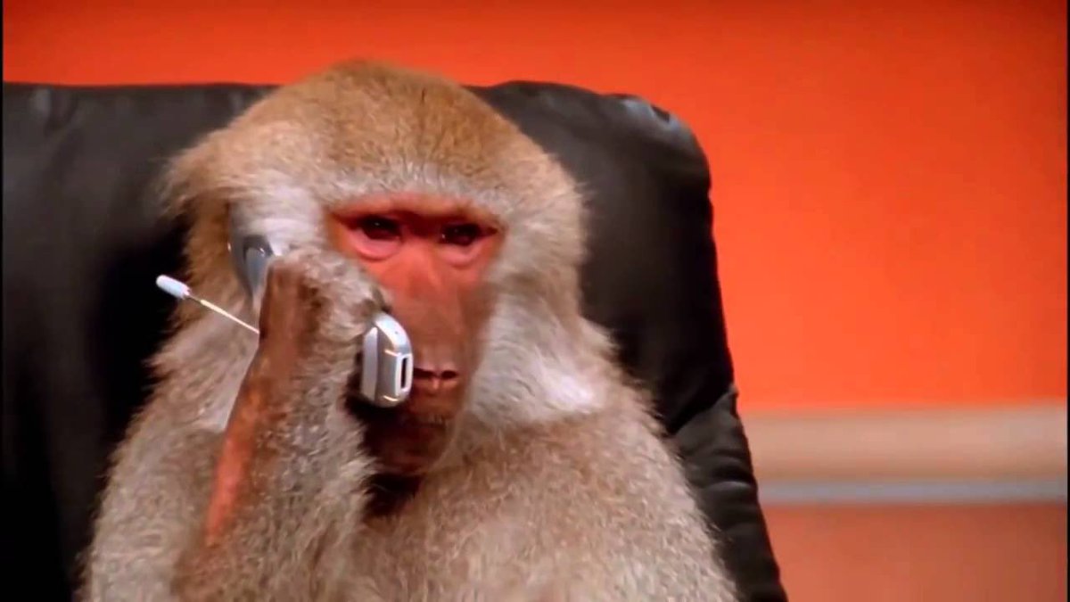 me calling my dad when the men at the dealership try to convince me to have other things done besides my oil changed: