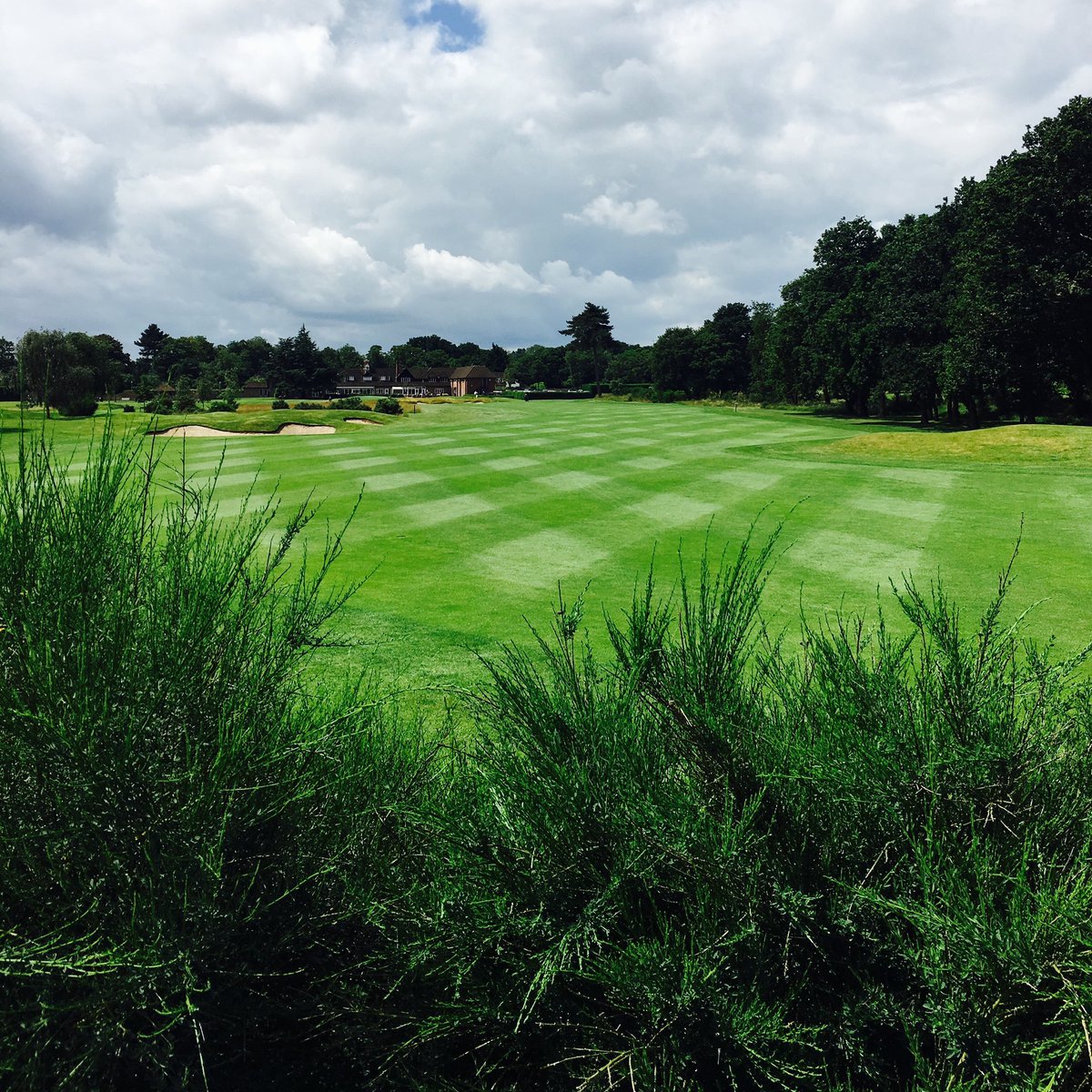 *JOB ALERT*

Assistant Greenkeeper position has come available at Sonning golf club in Berkshire please message coursemanager@sonning-golf-club.co.uk for more details