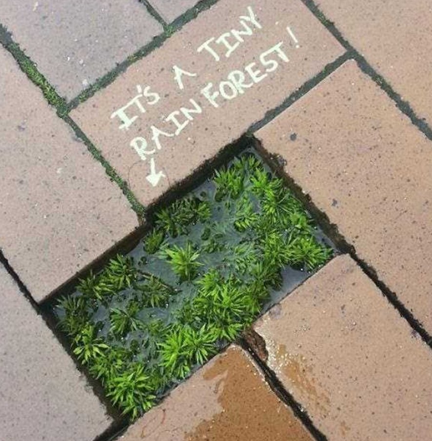 Took the boys for a walk today while Liv is at work. Noah's mind is an adorably fascinating thing.