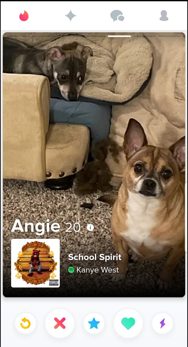 29_sankalp's tweet photo. The only thing I look forward to on Tinder are the song anthems that everyone has on their profile.
Let's call it my random song generator app instead. https://t.co/S9IWZ9BzuE