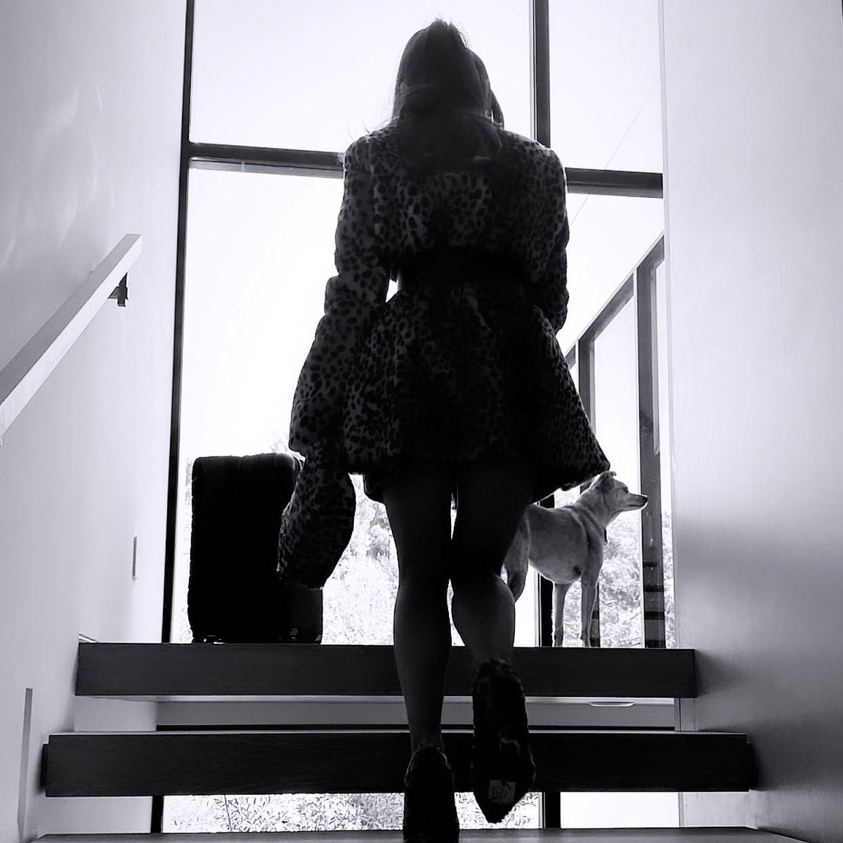 tayliviana's tweet photo. ariana grande                 to make 
   is getting                      history
      ready https://t.co/66G7FtnDvO