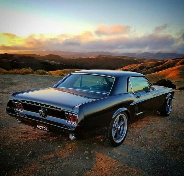 G_Hysteria's tweet photo. 🔥 #MustangTuesday 😎 https://t.co/qJ9PRlqmYe