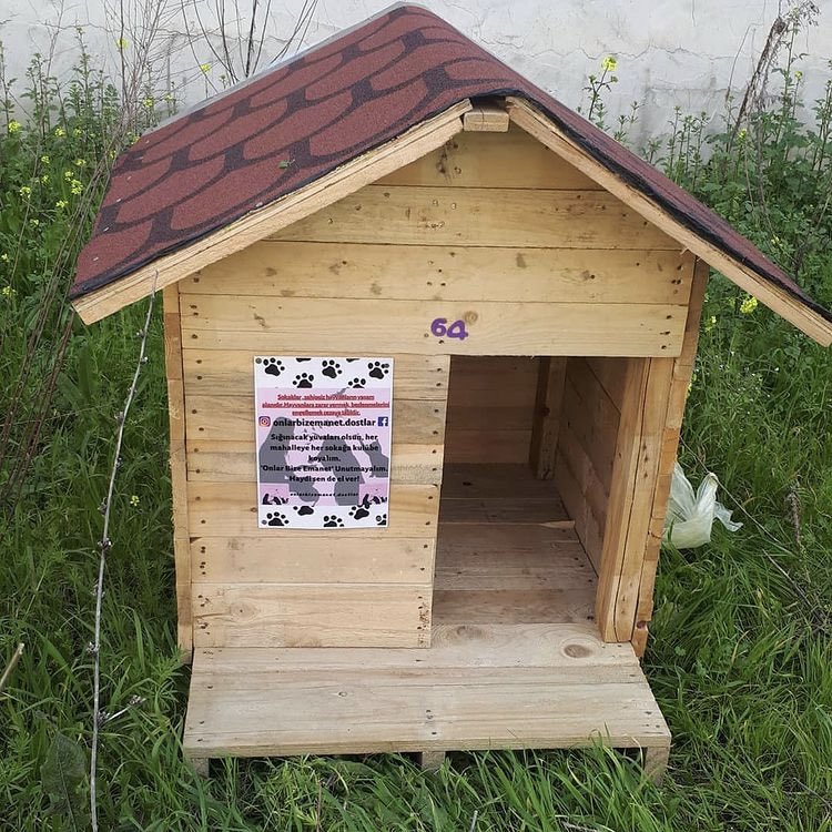 patilerimdentut's tweet photo. Anne köpeğimiz doğum yapmış malesef desteklerinize ihtiyacımız var doğum yaptığı yerden almaya çalıştık fakat başaramadık bugün, daha fazla desteğimiz var açıklama uzun olduğu için fotoğraflara ekledim desteklerinizi bekliyoruz 🙏🏻 

https://t.co/LFGQXtOi6Q https://t.co/fUqbQvvEqL