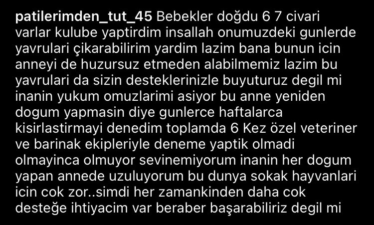 patilerimdentut's tweet photo. Anne köpeğimiz doğum yapmış malesef desteklerinize ihtiyacımız var doğum yaptığı yerden almaya çalıştık fakat başaramadık bugün, daha fazla desteğimiz var açıklama uzun olduğu için fotoğraflara ekledim desteklerinizi bekliyoruz 🙏🏻 

https://t.co/LFGQXtOi6Q https://t.co/fUqbQvvEqL
