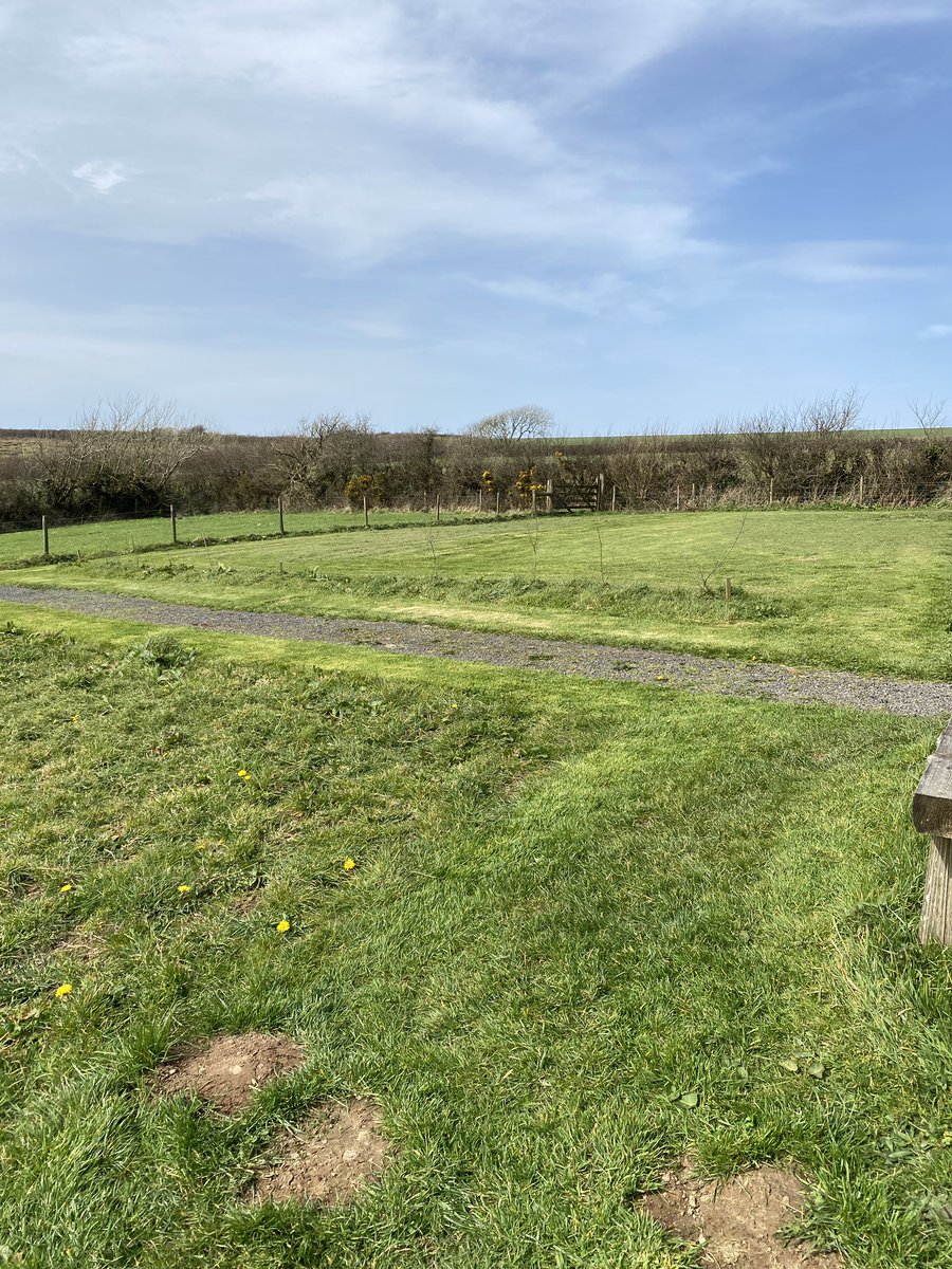AtlanticRestNBG's tweet photo. What a busy day at Penlow for two busy bees today - thank you  Amy for all your help. 🐝 🐝

Took the mower out today too and  cut the paths and the overflow car park. 

#AtlanticRest #Penlow #NaturalBurial #AshesBurial #GreenBurial #Weeding #Teamwork #Edging #ThePathIsFarTooLong https://t.co/UVSJkcjjCu