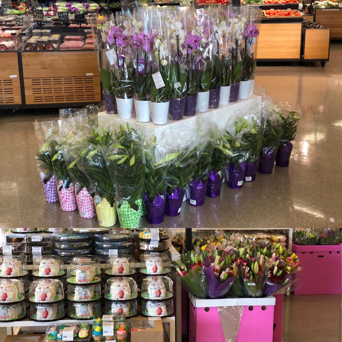 #T2378  @yanko_william <a href="/haroldthehitman/">Harold Dalton</a>