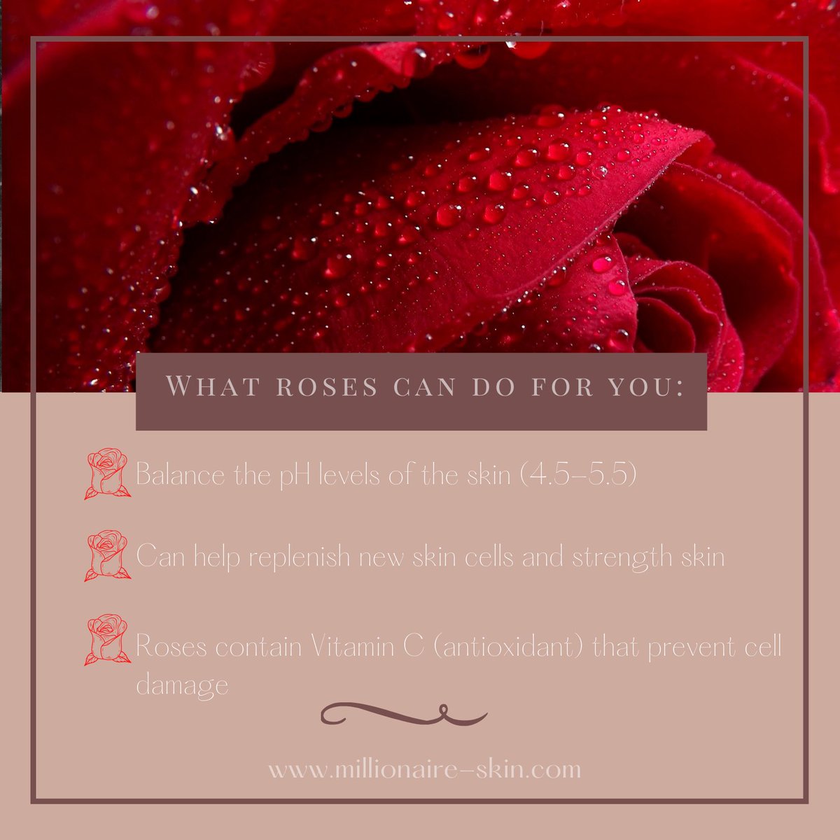 GetMilliSkin's tweet photo. When creating the formulas for our products our CEO KeKe Milli was sure to only use ingredients that benefited your body. All of our products are pH balanced to ensure not to dehydrate or over-moisturize your skin. 
#millionaireskin #roses #rosewater #detroitbusiness #skincare https://t.co/KjeIwKVpF6
