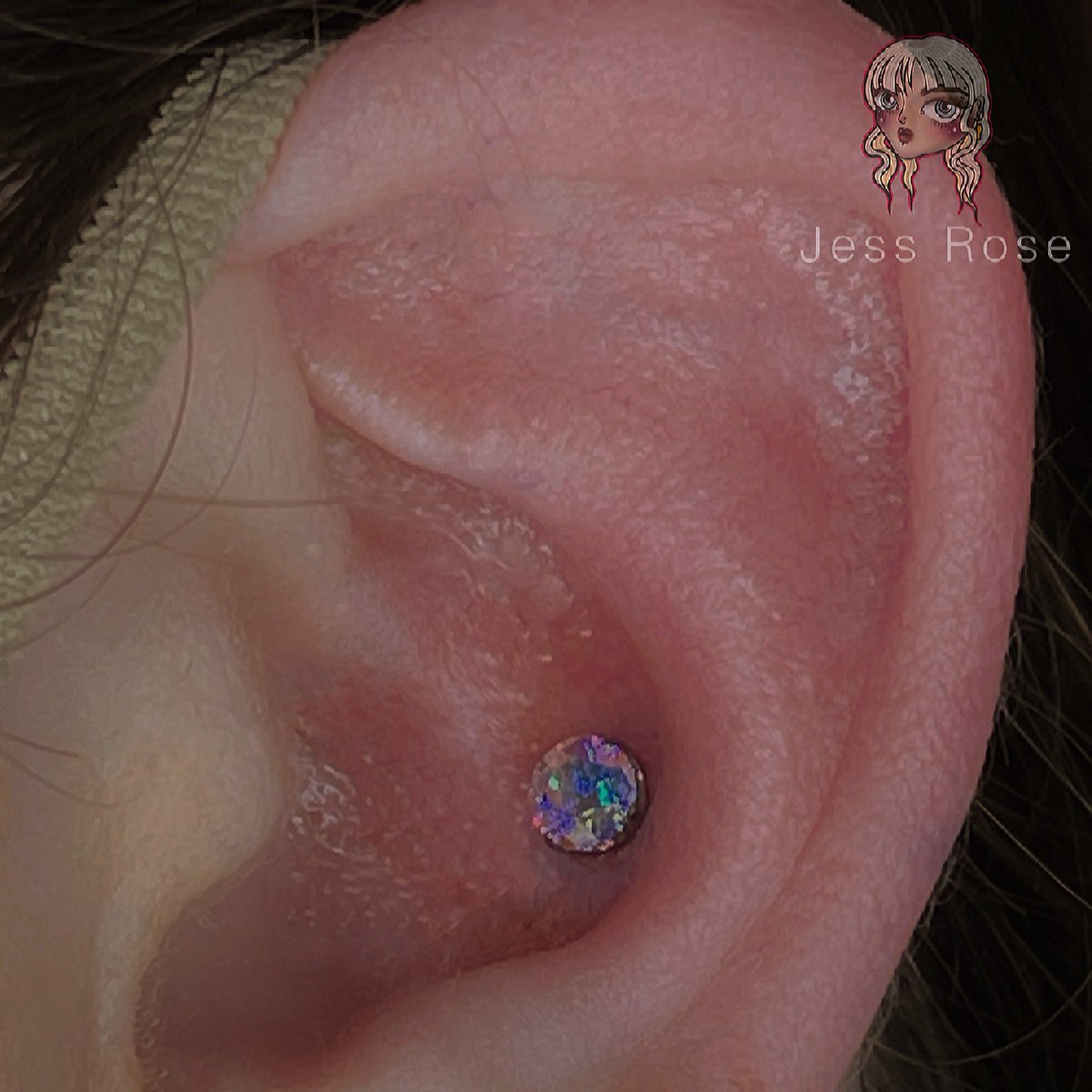 _pierced_rose's tweet photo. • Conch Piercing •

Jewelry: @neometaljewelry 

Needle: @isneedles 

Aftercare: @steriwash 

#matchlesstattoo #piercings #piercingsbyjessrose #sebastopolca #bodega #cotati #rohnertpark #ssu #srjc #conchpiercing #cartilagepiercing #earpiercing https://t.co/qRo0HPgK11