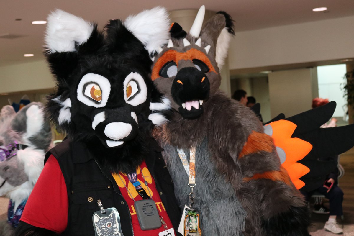 ConjureTheWolf's tweet photo. One more #FurCon2020 memory to share: Meeting Scáth! https://t.co/WKNe1nOFBl