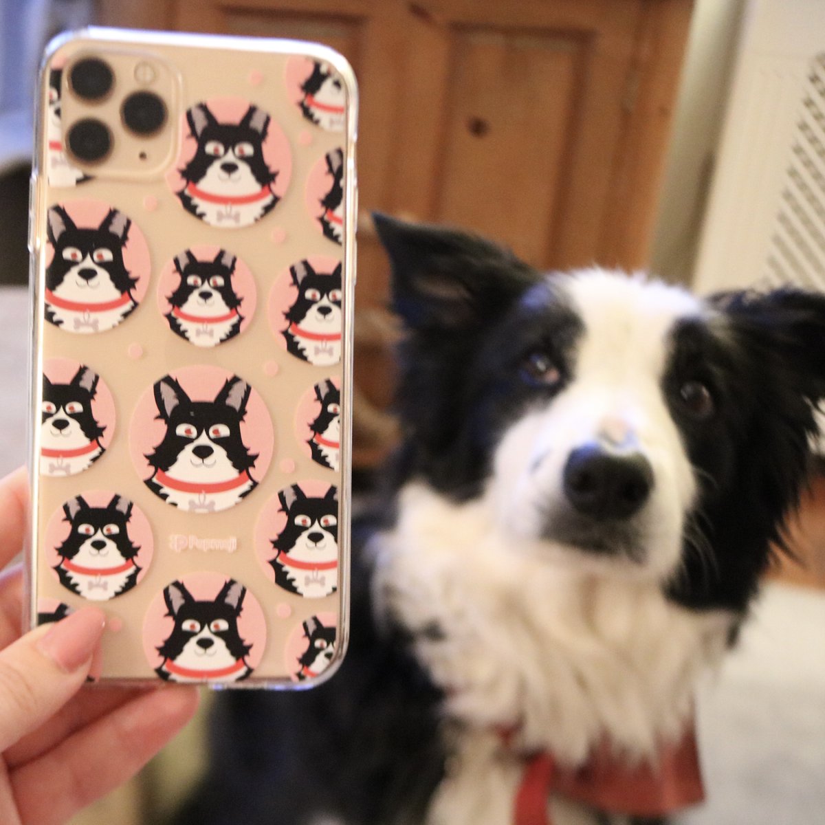 toxicfox.co.uk tweet media