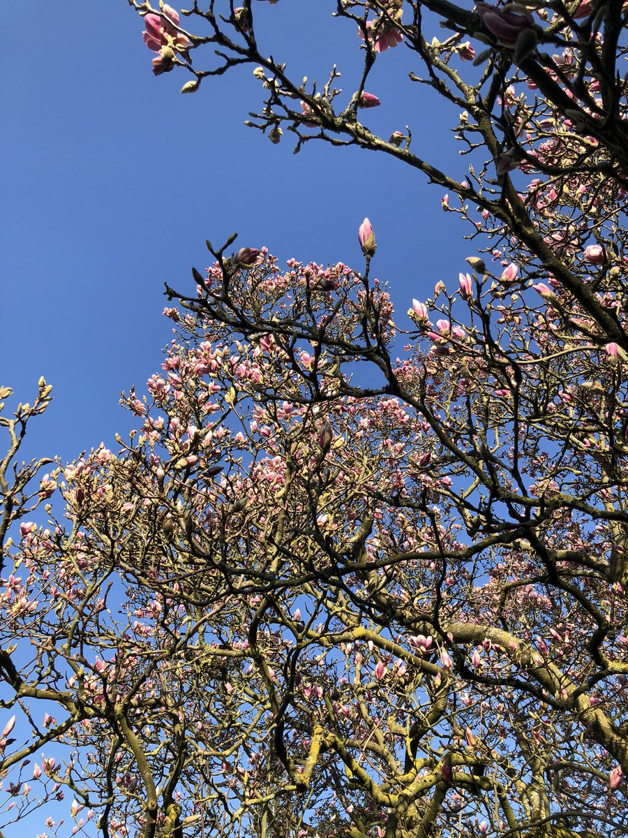 Ute Welty (@u1w1e) on Twitter photo 